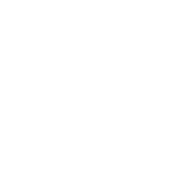 Future4